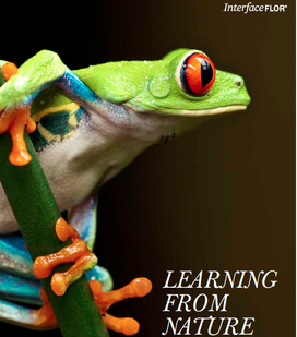 If biophilia 272 xxx