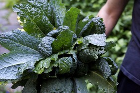 7kale bouquet laura silverman gardenista 282 xxx